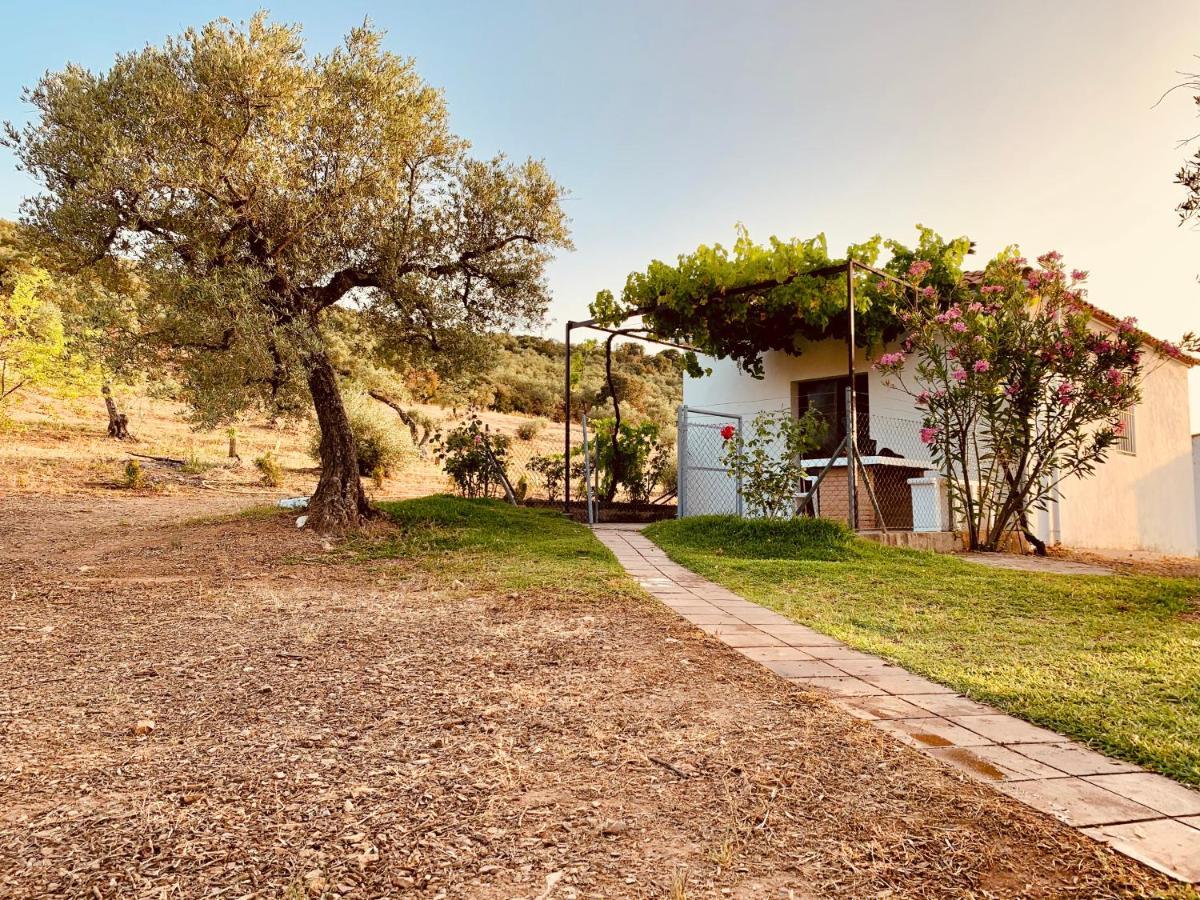 Casa Rural Arroyo Marco Guadalcanal Exterior photo